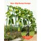 50 Pack 46 in Plastic-Coated Metal Garden Stakes for Tomato Climbing Plants